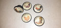 Cream Chickens Roosters & Hens Kitchen Cabinet Knobs – Set of 5 | Handmade Dresser Pulls